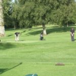 Mountbellew Golf Club Collage